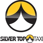 Silver Top